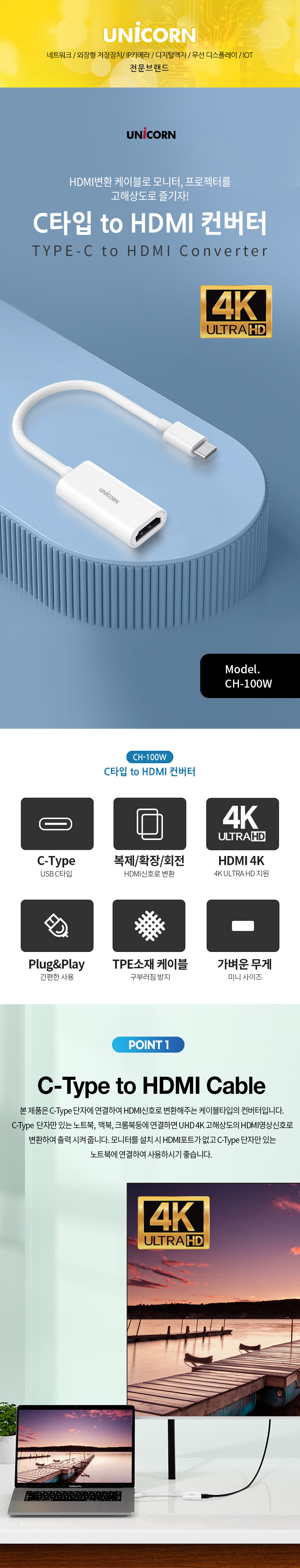 CH-100W-1.jpg